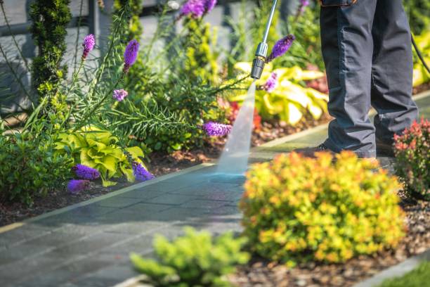 Best Sidewalk and Walkway Cleaning  in Fort Bragg, CA